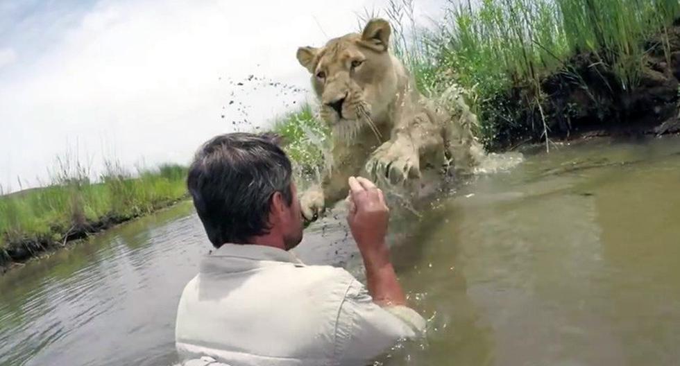 El zoólogo africano Kevin Richardson dice que un vínculo muy especial le une a las dos leonas a las que salvó la vida cuando fueron abandonadas por su madre.. (Foto: YouTube)
