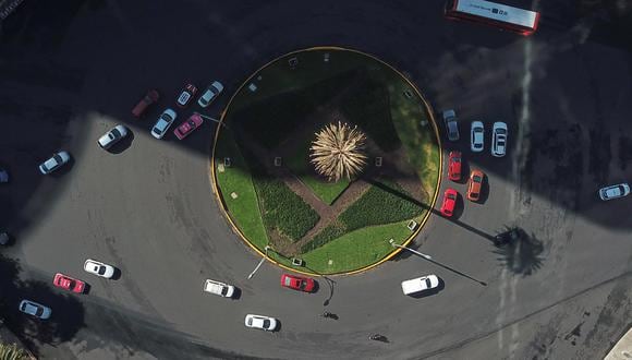 Fotografía aérea que muestra una palmera en la glorieta Paseo de la Reforma, el 23 de abril de 2022, en Ciudad de México. (EFE/ Isaac Esquivel).