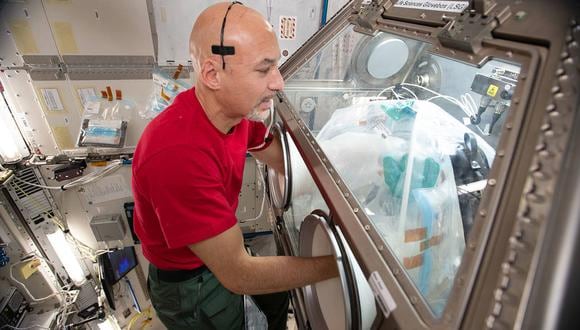 El astronauta Luca Parmitano realiza un experimento en la EEI. (Foto referencial: NASA)