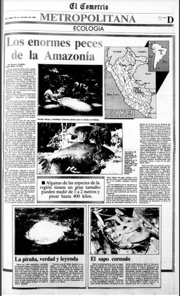 "Los enormes peces de la Amazonía", uno de los trabajos más elogias de Bárbara, para la página Ecología de El Comercio.