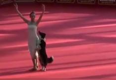YouTube: perrito que baila ballet con su dueña conmueve al mundo (VIDEO)