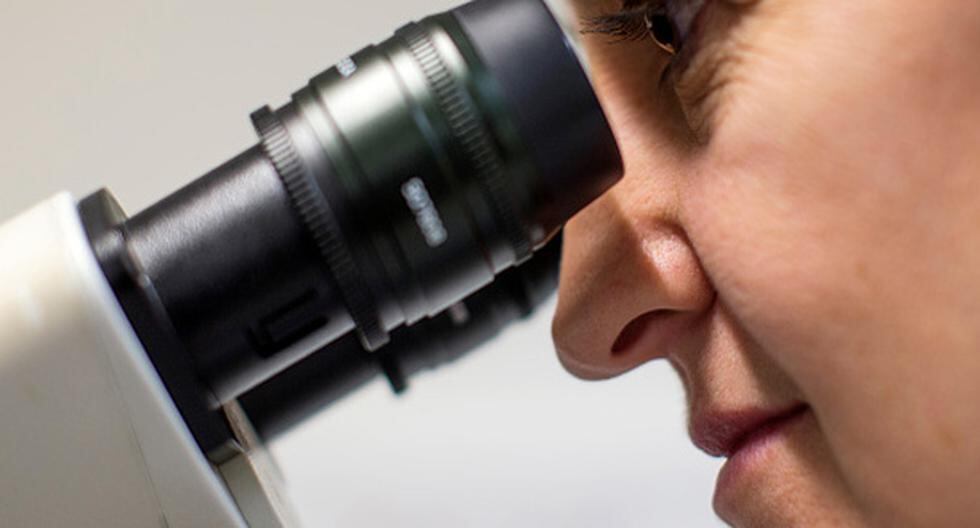 La potencia de la resolución de los microscopios podría aumentar gracias a esta nueva técnica que hace visible la luz infrarroja. ¿Qué opinas? (Foto: Getty Images / Referencial)