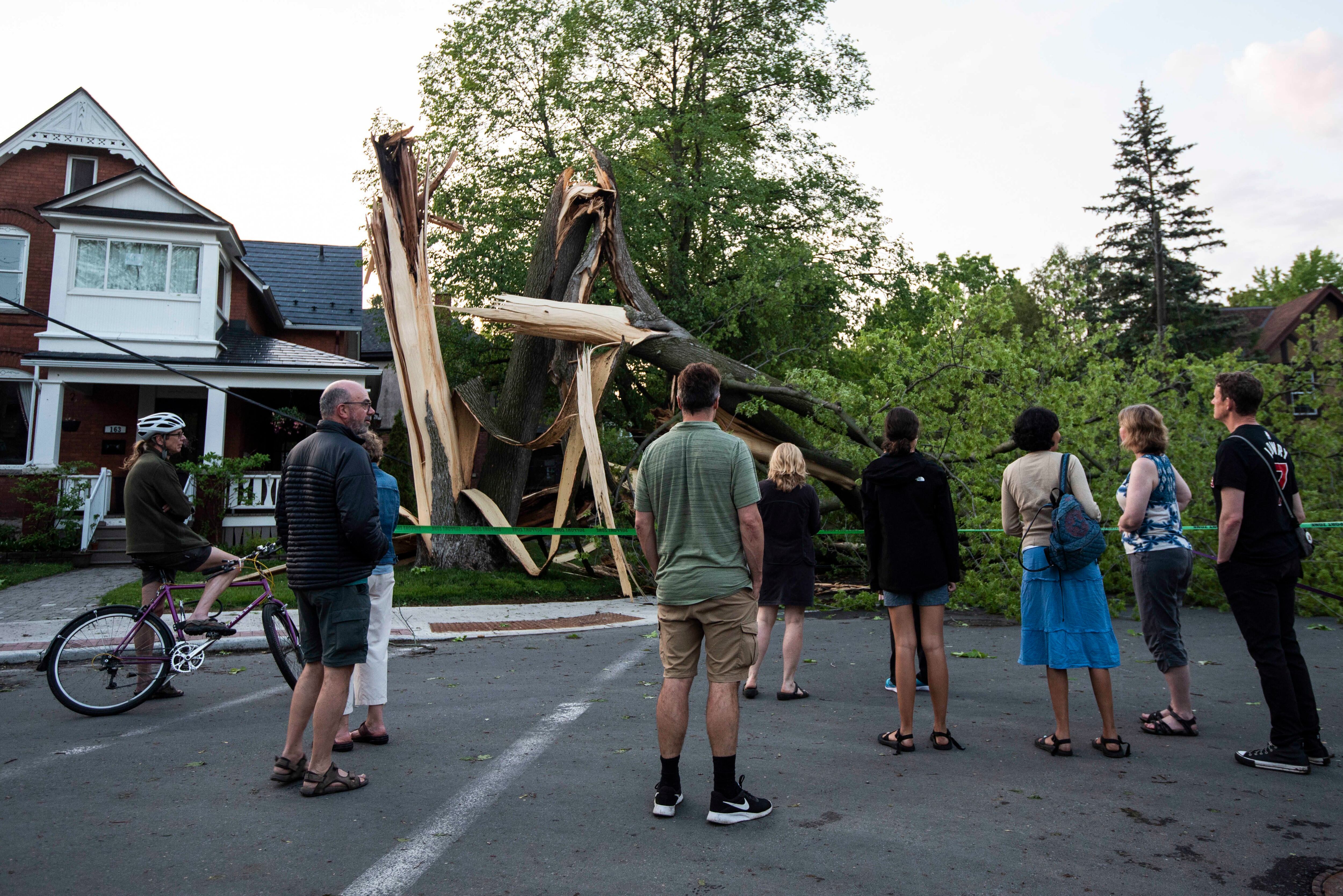 Community members gather to look at a tree that was destroyed during a major storm in Ottawa, Canada.