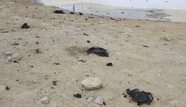 (Jessica Vicente / El Comercio)