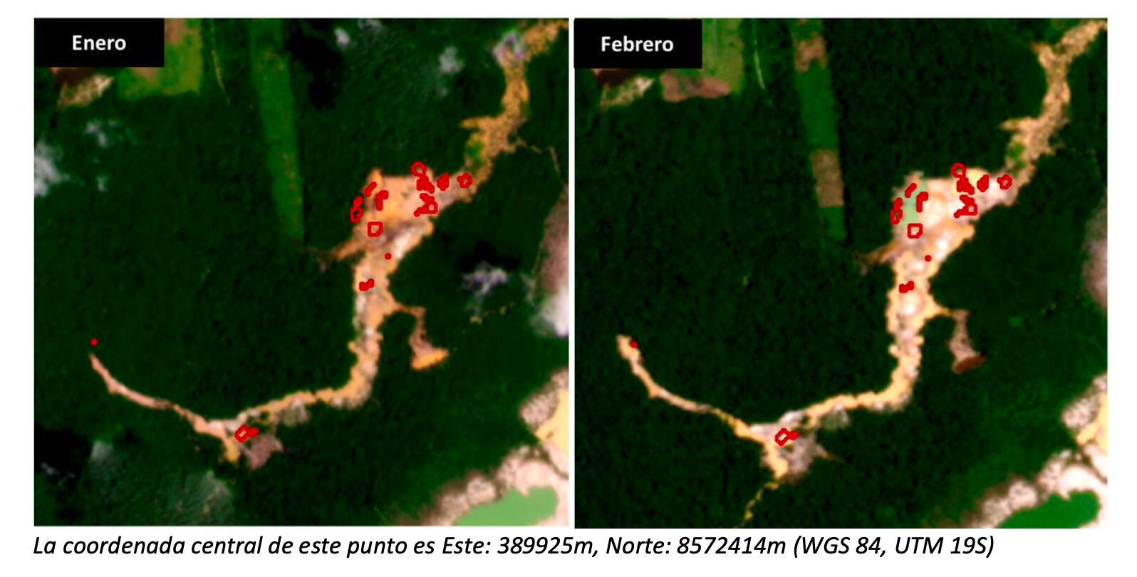 Nuevos hallazgos de pérdida de cobertura de bosque por minería en Zona de Amortiguamiento de la Reserva Nacional Tambopata, sector La Pampa. (Foto: Boletín RAMI - ACCA)
