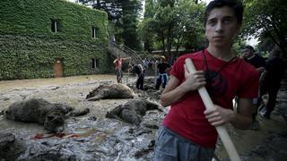 Georgia: Hallan muertas a fieras de zoológico tras inundaciones