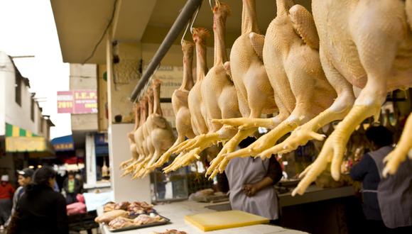 El Perú es libre de influenza aviar, enfermedad vírica altamente contagiosa que afecta tanto a las aves domésticas como a las aves silvestres. (Foto: GEC)