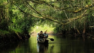 10 cosas que debes saber sobre el feriado largo del 8 al 11 de diciembre 