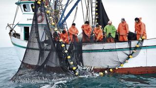 SNP: Se capturarán 1.3 millones de toneladas de anchoveta