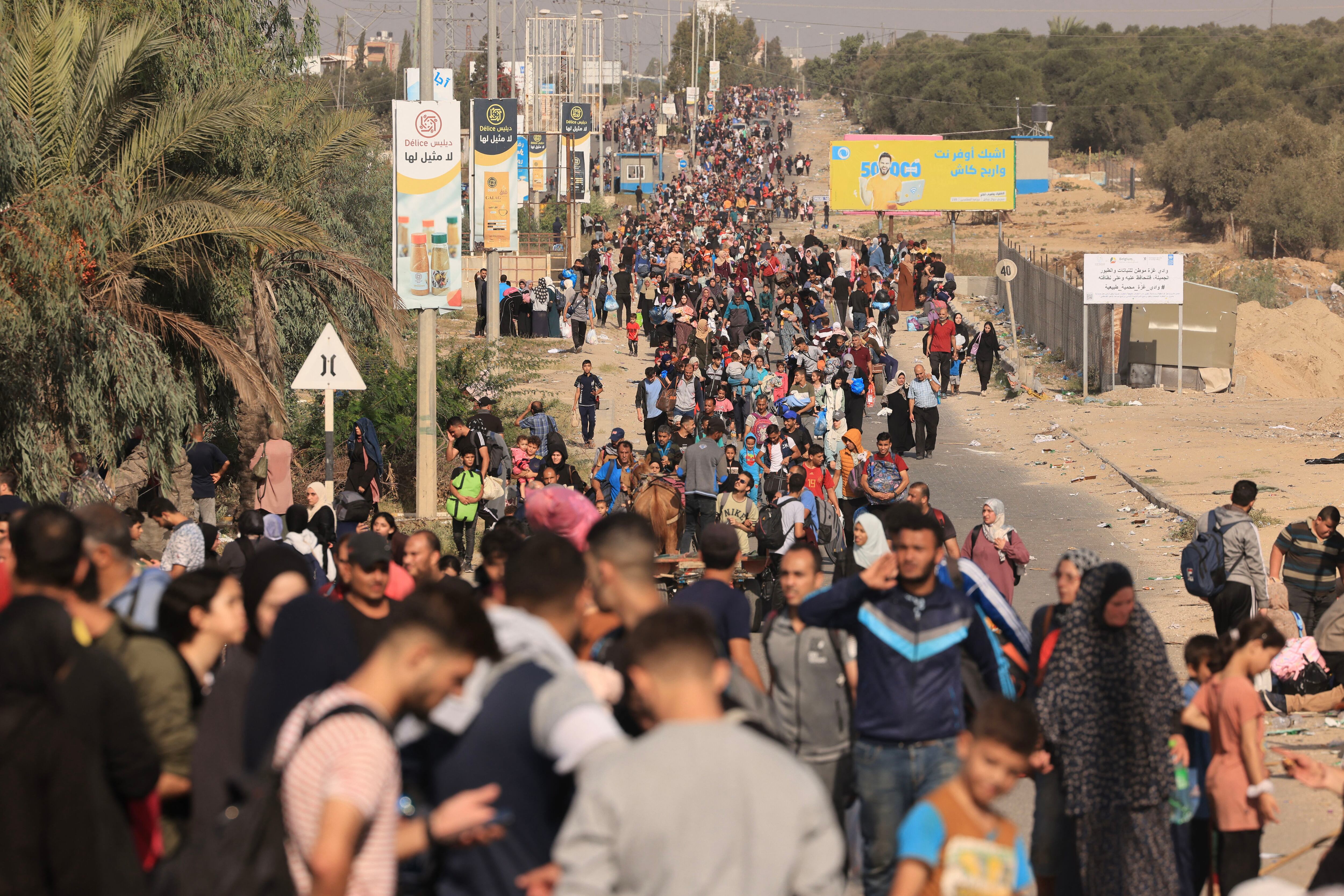 Palestinians fleeing Gaza City and other parts of the north and south walk along a road on November 9, 2023. (Photo by MAHMUD HAMS/AFP).