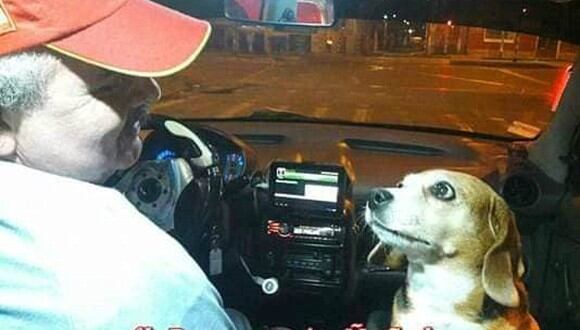 La historia fue dada a conocer por un pasajero del transportista, quien quedó conmovido al conocer a la perrita. (Foto: Facebook/Claudio Gabriel D Oliveira)