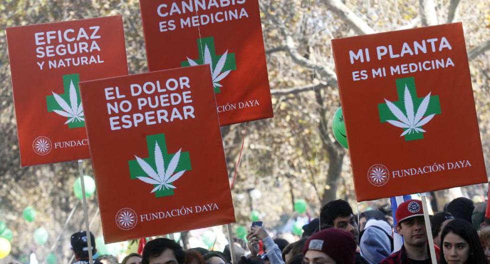 Colombia aprueba el uso de la marihuana para fines medicinales (EFE/Referencial)