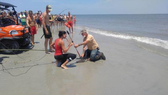 Un caimán nadando en una playa atemorizó a bañistas [VIDEO]