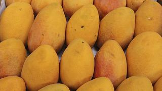 Mincetur: Exportaciones de mango marcaron récord histórico
