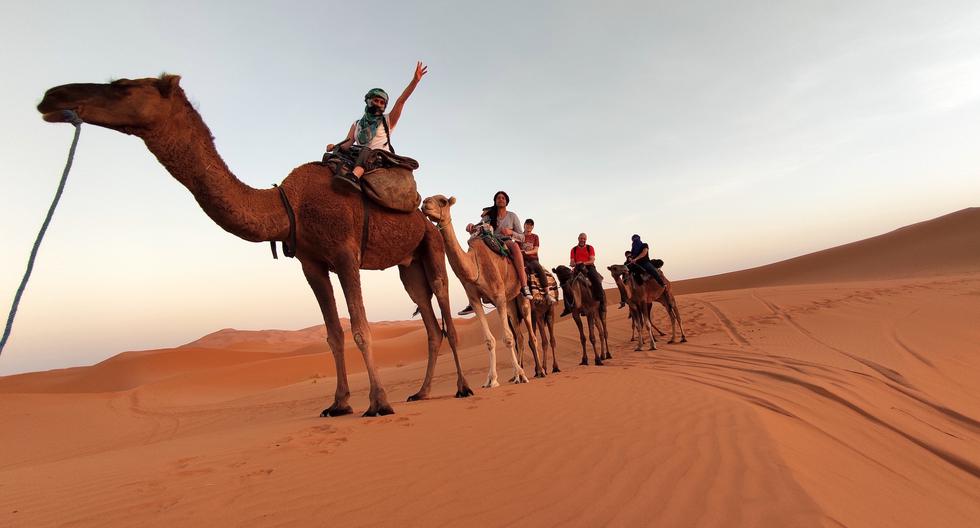 Dunas doradas, noches estrelladas y campamentos de lujo son parte de la aventura en el desierto.