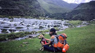 Seis consejos a tomar en cuenta si planeas viajar con tu mascota