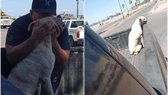 Joven de México pasea por última vez con su perro con cáncer terminal antes de ponerlo a dormir para siempre. (Foto: Acariciadores de Perritos / Facebook)