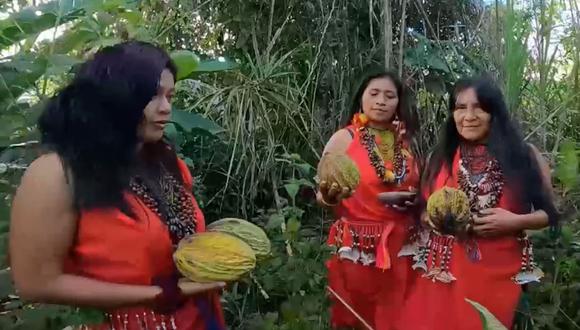 En la comunidad de Shimpiyacu del departamento de San Martín, 18 mujeres artesanas y emprendedoras han impulsado la Organización Mujeres Artistas “Nugkui” (Madre Tierra) que se dedica a la elaboración de piezas de biojoyería, a partir de semillas de plantas y árboles que ellas mismas cultivan. Foto: MINAM