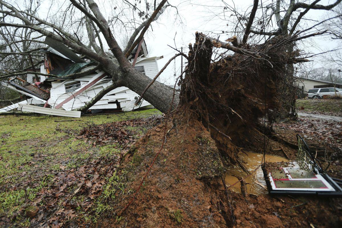 Al menos nueve personas murieron este sábado en los estados de Texas, Alabama y Luisiana a raíz de las graves tormentas que recorren el sureste de Estados Unidos. En la imagen se puede observar cómo los poderosos vientos arrancaron un árbol del suelo. (AP)