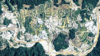 Deforestación: ¿Cuánto le cuesta a la economía peruana?