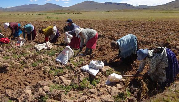 El Bono sequía se entregará a 17 regiones del Perú que se encuentran en emergencia (Foto: El Peruano)