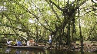 Tingana: descubre el paraíso amazónico junto a Moyobamba