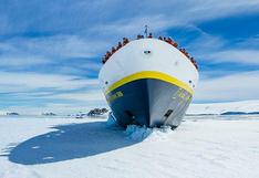 Antártida: descubren 'megaciudad' con 1,5 millones de 'habitantes'