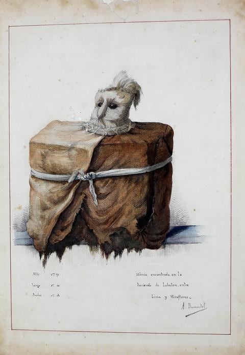 Momia encontrada en la hacienda Lobatón, entre Lima y Miraflores, según acuarela de Alfred Dumontel, artista francés y colaborador de Raimondi.