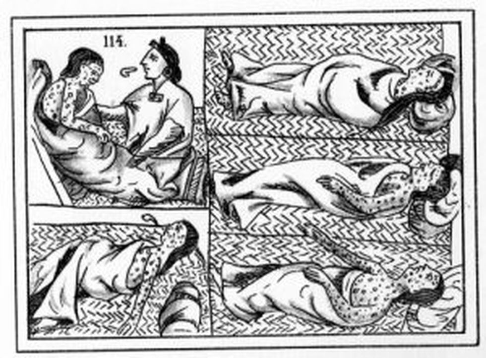 La cepa Paratyphi C, principalmente, fue la causante de que cerca del 60% de la población azteca murieran tras sufrir de altas fiebres, llenarse de puntos rojos en el cuerpo y sufrir de vómitos y hemorragias abundantes.
