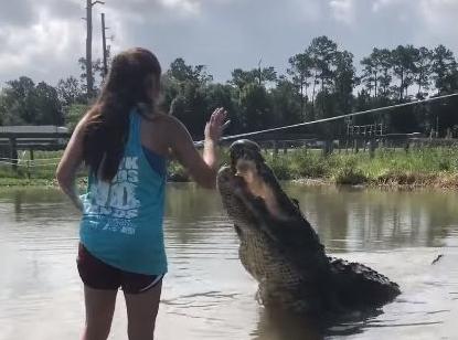 Facebook: el insólito final de una joven que  quiere alimentar a un cocodrilo gigante