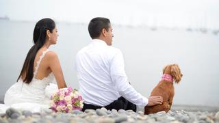 6 lugares en Lima para tomarte las mejores fotos con tu mascota el día de tu boda