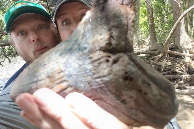 Una pareja de Carolina del Sur, Estados Unidos, descubrió un antiguo diente de tiburón megalodón tan grande como la mano de un ser humano y el hallazgo sorprendió a más de uno en las redes sociales. (Fotos: Jessica Rose-Standafer Owens en Facebook)