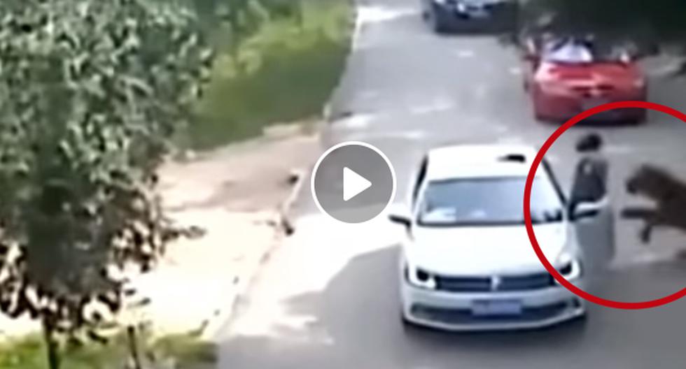 YouTube nos muestra el video en el que se puede observar cómo es que una mujer es atacada en China. (Foto: captura)