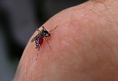 OMS: ''Más del 40% de la población mundial está en riesgo por el dengue''