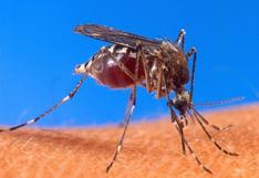 Paraguay: Inician campaña para frenar la fiebre chikunguña