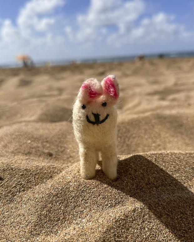 The original dog was Wendy Ramos' furry pet.  He bought it on a trip to Nepal.  It looked like a rabbit to her, but her friends told her it was a dog.  (Photo: Instagram by Wendy Ramos).