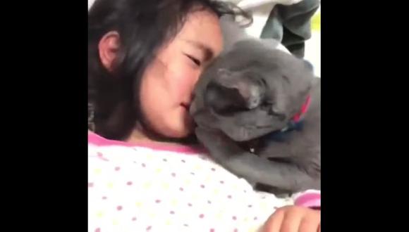Cientos de usuarios de YouTube quedaron enternecidos tras ver un video que muestra a una niña siendo consolada por un gato.(Captura)