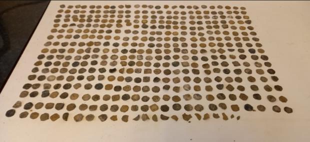 Uma coleção de moedas que o buscador de metais encontrou. | FOTO: SWNS