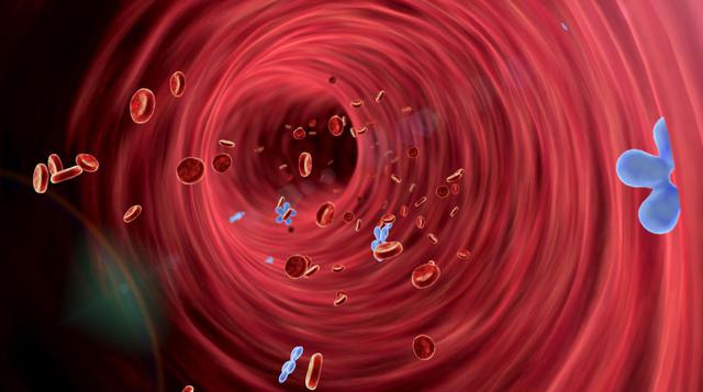 10 beneficios de comer papaya que probablemente no conocías - 6