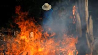 #PrayForAmazonia: Masivos incendios en la Amazonía de Brasil encienden las redes