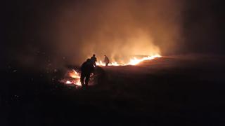 Áncash: incendio forestal afecta 10 hectáreas de pastos naturales y bosques de eucalipto en Piscobamba