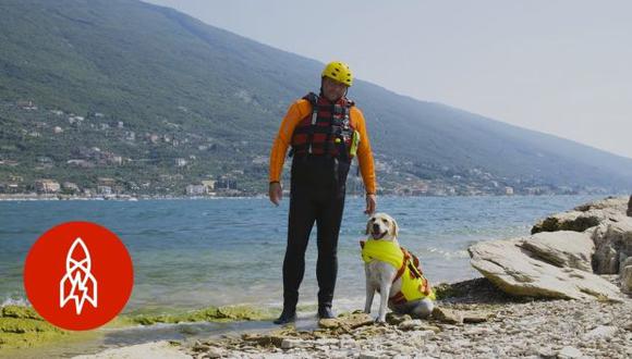 Italia es el único país del mundo que reconoce a perros certificados para trabajar como rescatistas. (Foto: YouTube)