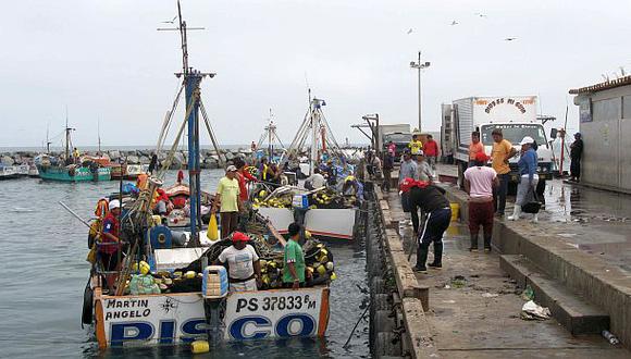 Produce suspendió la pesca de anchoveta en litoral peruano