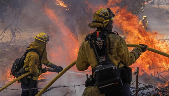Son más de 2.500 bomberos que luchan contra el fuego cerca al Parque Nacional de Yosemite, en California. (Foto: EFE/EPA/PETER DA SILVA)