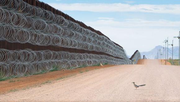 Alejandro Prieto ha documentado la vida salvaje y los ecosistemas de la frontera sur de Estados Unidos. (ALEJANDRO PRIETO / BIRD PHOTOGRAPHER OF THE YEAR).