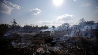 Incendio en el Amazonas: En solo un mes se perdió el equivalente a un tercio de Lima