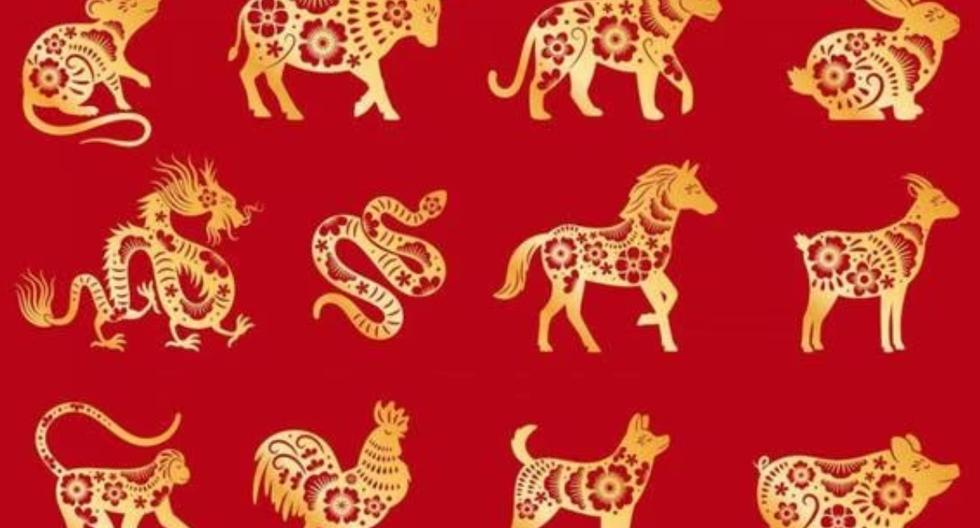 Chinese Horoscope 2023: How Will You End August?  |  Answers