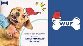 Perros sin hogar también tendrán Navidad gracias a esta campaña