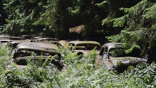 Mira este tenebroso cementerio de autos en medio del bosque