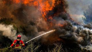 Ola de calor en Europa: devastadores incendios forestales se propagan en el Mediterráneo
